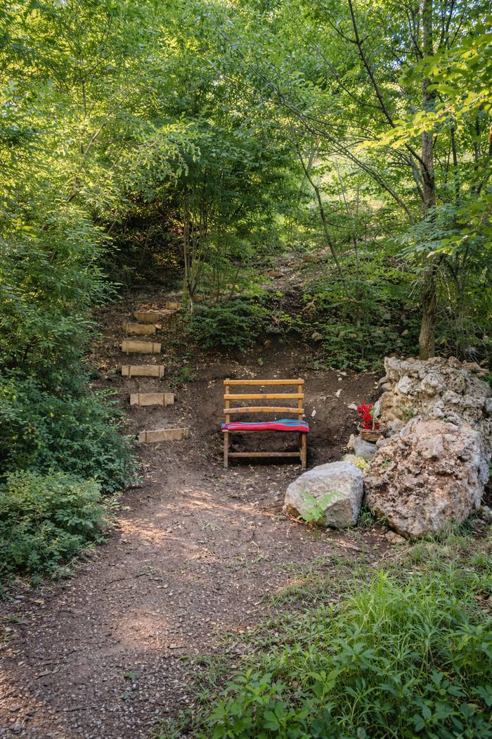 Forest path